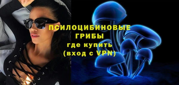 а пвп мука Белокуриха