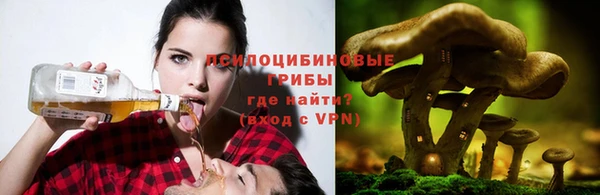 а пвп мука Белокуриха