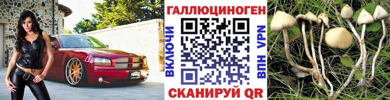 Купить  Северобайкальск  Псилоцибиновые грибы GOLDEN TEACHER 